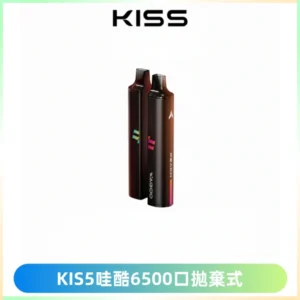 KIS5WAGOO哇酷6500口拋棄式 | 自由混搭雙口味 | 雙芯組合